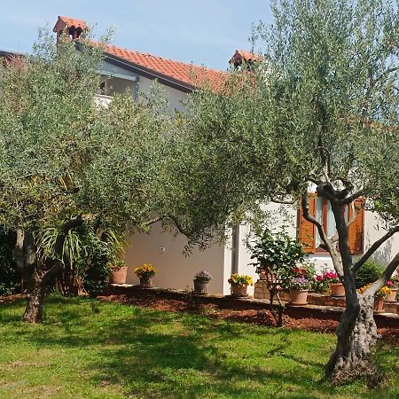 Apartment Analaura Umag Exterior photo